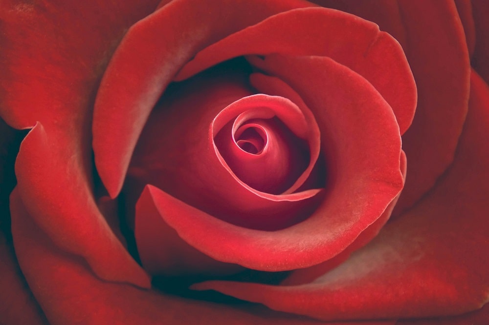 7 Pequeñas sorpresas rojas para un San Valentín ideal en tu casa