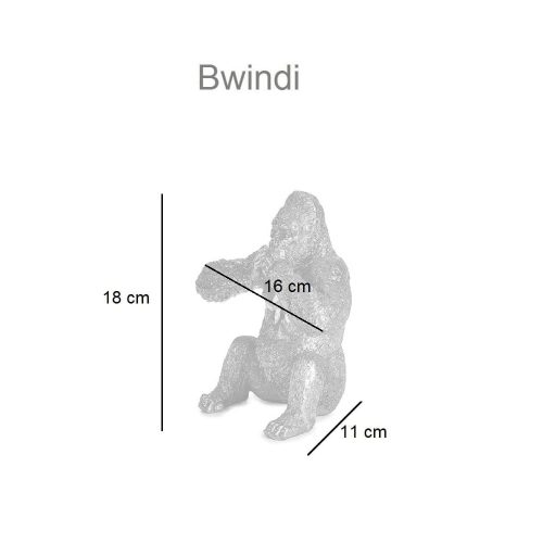 Medidas. Gorila pequeño sentado, cubriendo la boca con sus manos – Bwindi