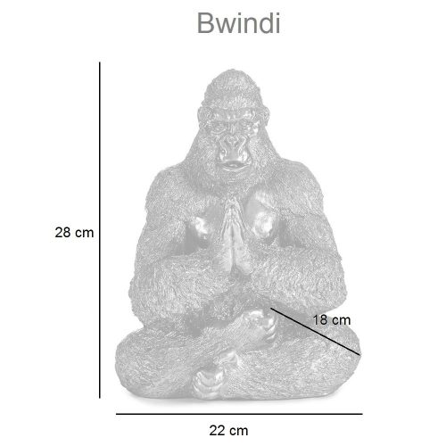 Medidas. Gorila sentado orando, posición de yoga, piernas cruzadas – Bwindi