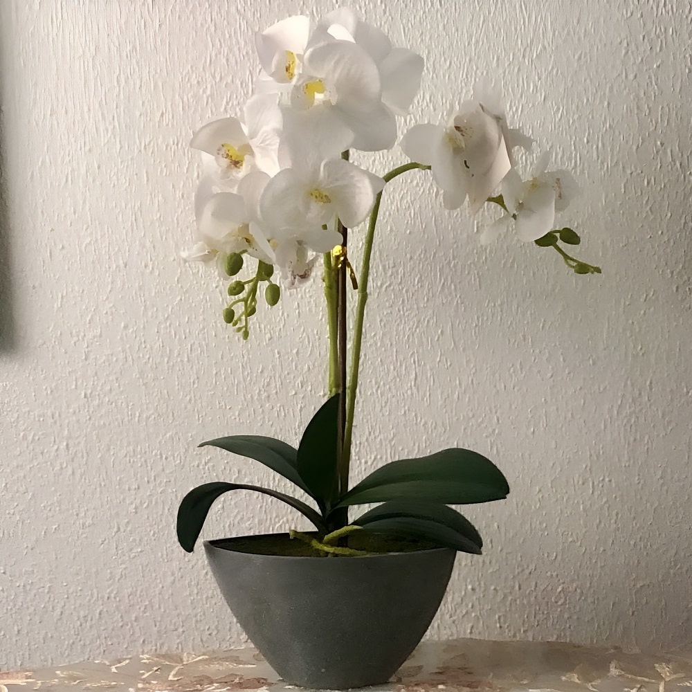 Orquídea artificial en maceta ovalada gris, colores varios, 50 cm - Orchis Blanco