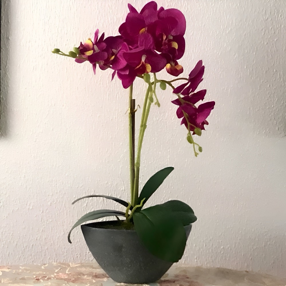 Orquídea artificial en maceta ovalada gris, colores varios, 50 cm - Orchis Morado