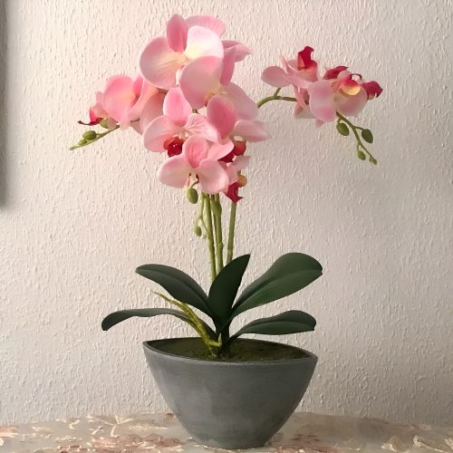 Orquídea artificial en maceta ovalada gris, colores varios, 50 cm, rosa - Orchis