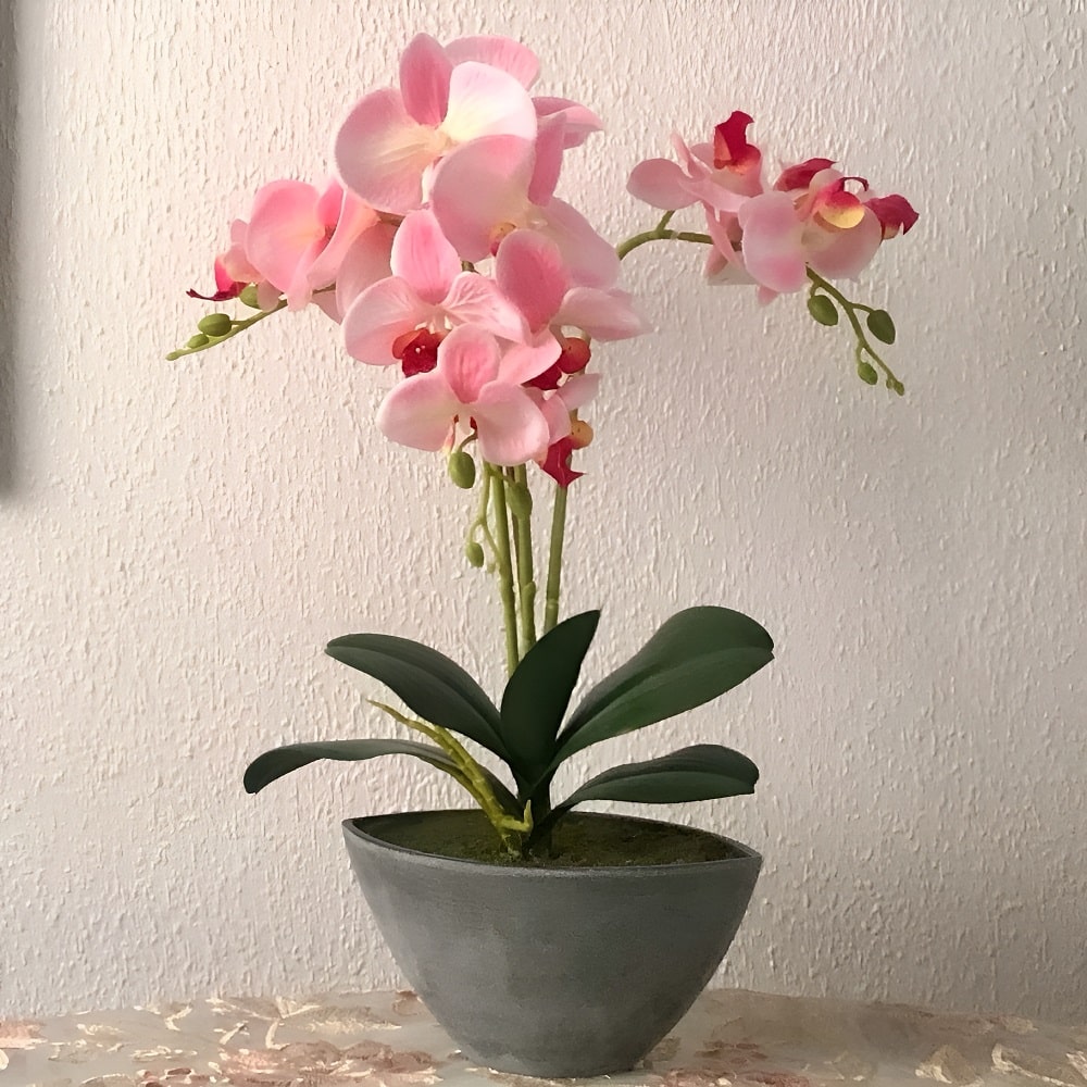 Orquídea artificial en maceta ovalada gris, colores varios, 50 cm - Orchis Rosa