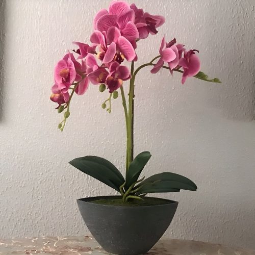 Orquídea artificial en maceta ovalada gris, colores varios, 50 cm, rosa oscuro - Orchis