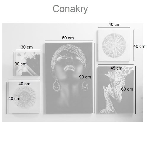 Medidas. Set 5 lienzos impresos, 50% al oleo, tamaños y diseños variados - Conakry