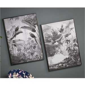 Set 2 lienzos impresos, aves entre plantas, blanco y negro, marco - Nestorinae